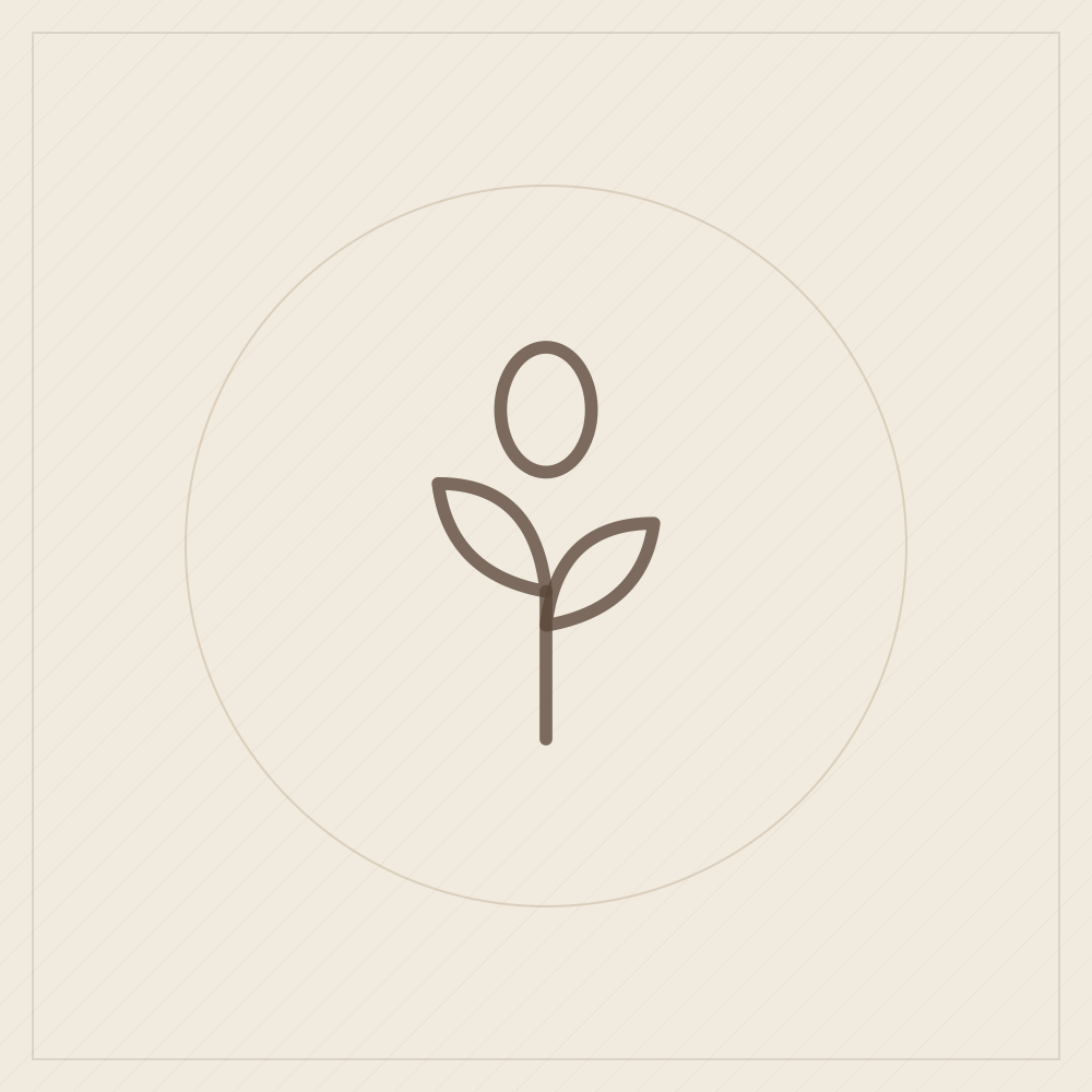 Seed founding supporter level