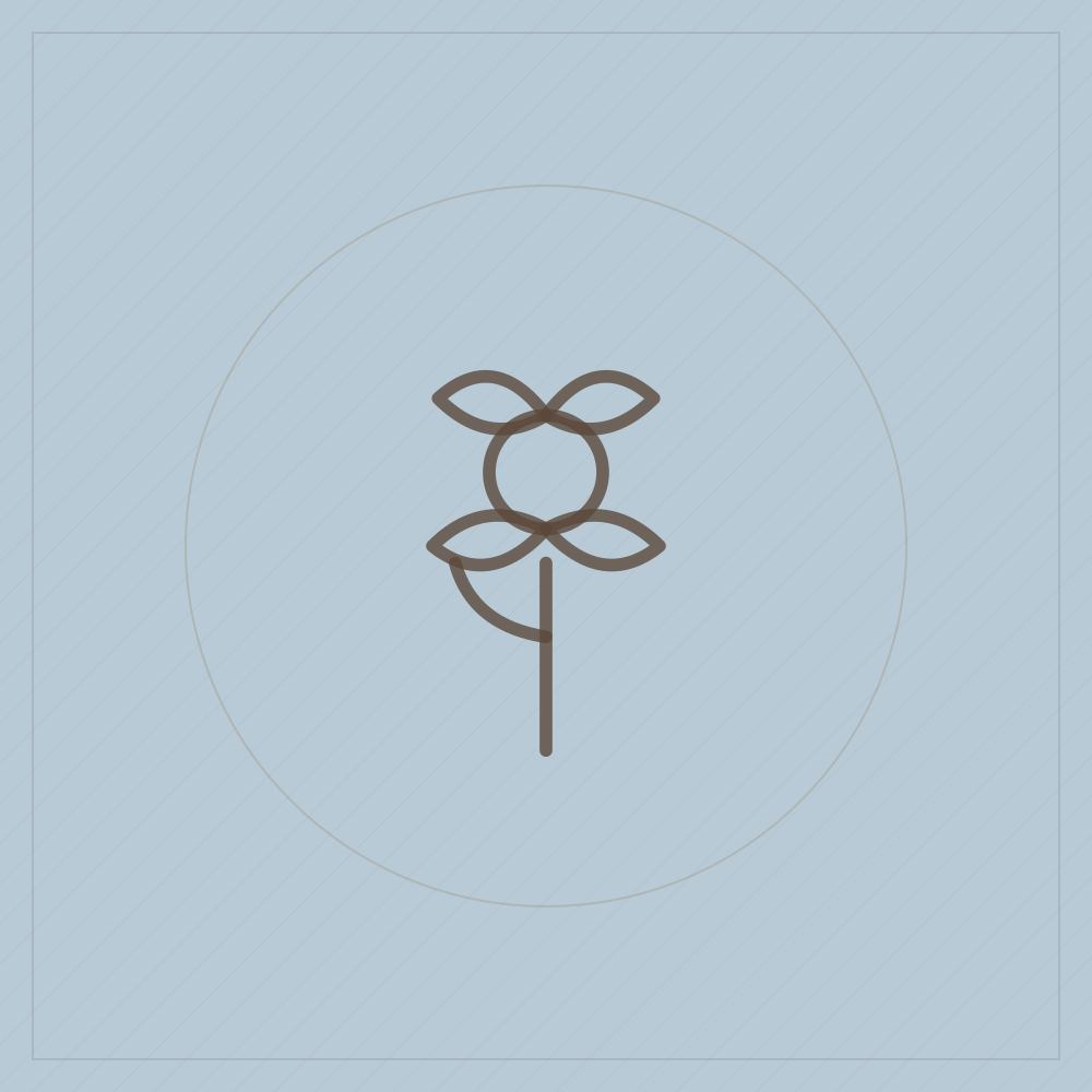 Bloom founding supporter level